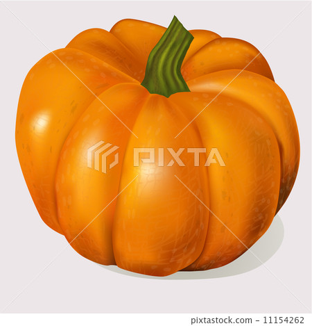 Pumpkin, Isolated On White Background Pumpkin, Isolated On White Background 11154262