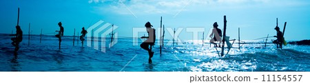 The Traditional Stilt Fishermen in Srilanka The Traditional Stilt Fishermen in Srilanka 11154557