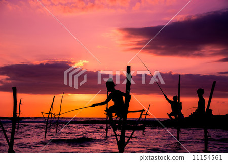 The Traditional Stilt Fishermen in Srilanka The Traditional Stilt Fishermen in Srilanka 11154561