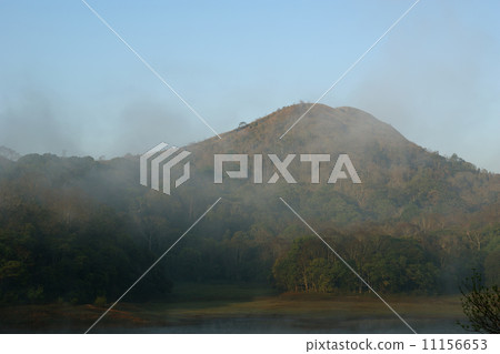 lake, Periyar National Park, Kerala, India 11156653