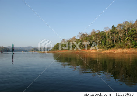 lake, Periyar National Park, Kerala, India lake, Periyar National Park, Kerala, India 11156656