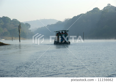 Boat on forest lake, Periyar National Park, Kerala, India 11156662