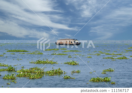 House boat in the Kerala (India) Backwaters. 11156717