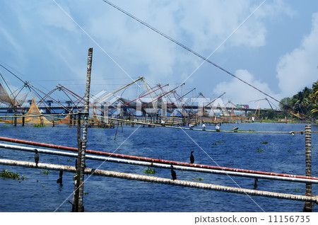 Chinese fishing nets. Vembanad Lake, Kerala, South India 11156735