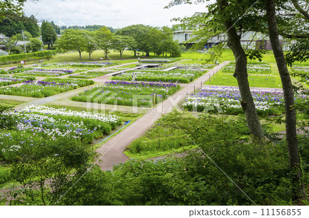 Tagajo廢墟Ayame庭院 11156855