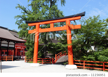 京都Shimogamo神社鳥居 11156951
