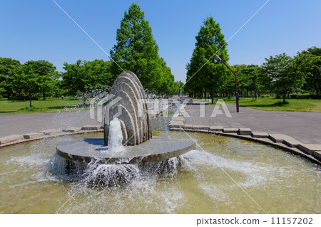 The fountain of the Temple Park where the blue sky spreads and the forest of Metasequoia The fountain of the Temple Park where the blue sky spreads and the forest of Metasequoia 11157202