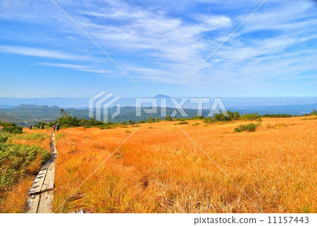 Hakkoda mountain of grass autumn leaves Hakkoda mountain of grass autumn leaves 11157443