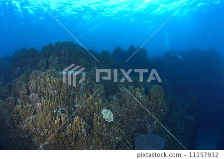 Nago City Henoko · Ooura Bay Ao Sango 11157932