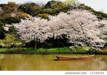 三思花園徒步之旅 三思花園徒步之旅 11158101