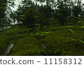 fire Fly  11158312