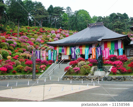 Ome City Shiofune Kannon Azalea Festival Ome City Shiofune Kannon Azalea Festival 11158566
