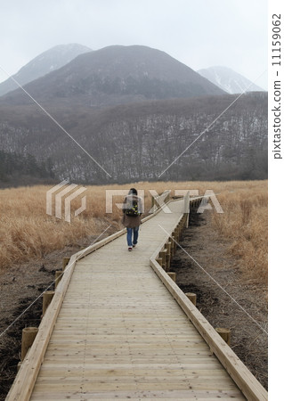 Walking on a wetland 11159062