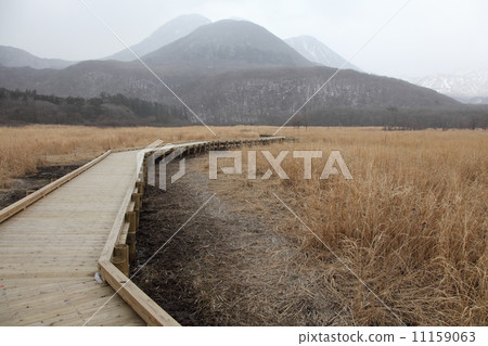 冬季景觀 11159063