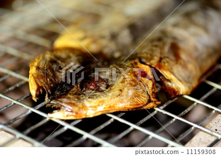 Dried fish 11159308