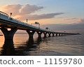 黃昏的東京灣水色橋 11159780