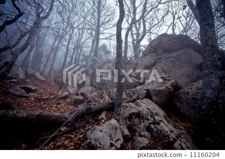 Majestic sunset in the mountains landscape 11160204