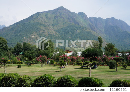 Mountain seen from Dal Lake 11160361