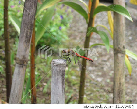 裁剪標記 11160494