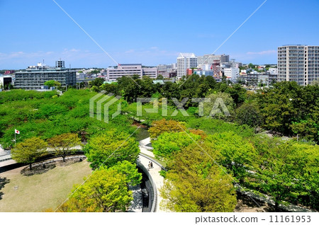 新的綠色的Ryutopia 11161953