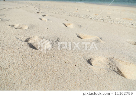 沙灘的腳 沙灘的腳 11162799
