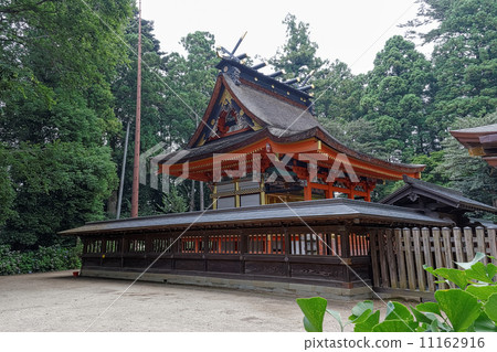 Leaves of Maiden Hachimangu shrine leaves with Oriental leaves (Okachiki ginkgo) leaves 11162916