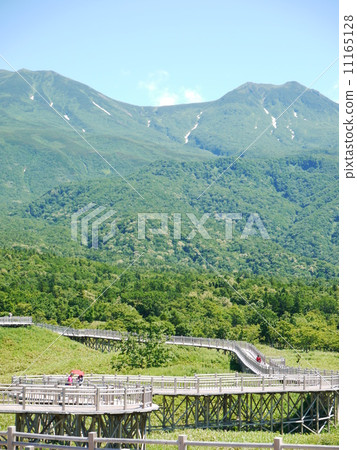 知床戈高（高架樹路） 11165128