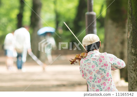 Playing the violin in the park Playing the violin in the park 11165542