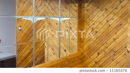 Mirror 11165878