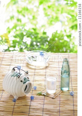 夏季圖像豬蚊子去除 11166158