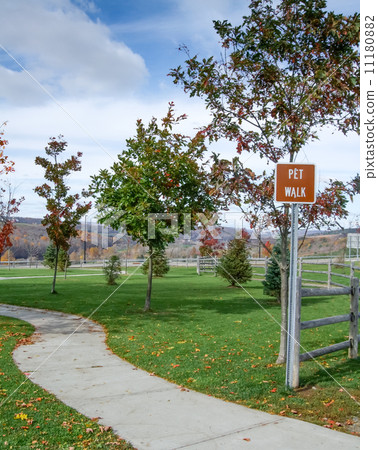 Autumn trees in a park 11180882