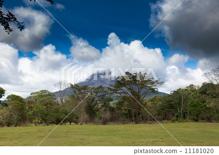 Forest with a volcano in the background, Costa Rica 11181020