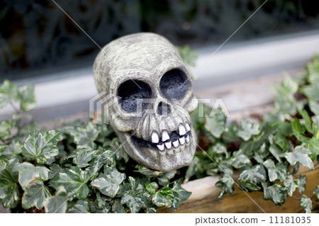 Artificial human skull in a window basket 11181035