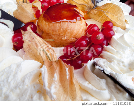 Close-up of a cake 11181038