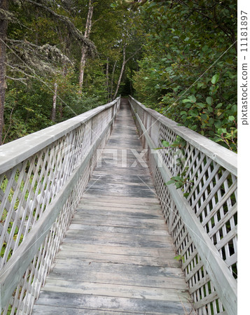 Bridge in a forest, Quebec, Canada Bridge in a forest, Quebec, Canada 11181897
