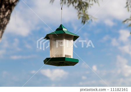 Low angle view of a bird feeder, Tobermory, Ontario, Canada 11182161