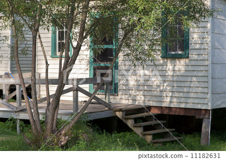 Tree in front of a log cabin, Tobermory, Ontario, Canada 11182631