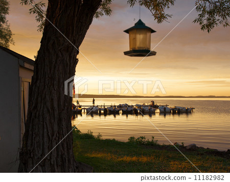 Bird feeder with boats in the background, Georgian Bay, Tobermor 11182982