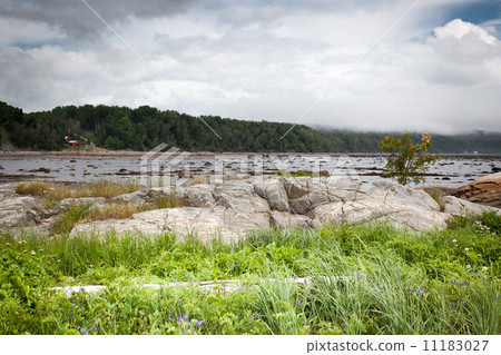 Rocks at the riverside, Quebec, Canada 11183027