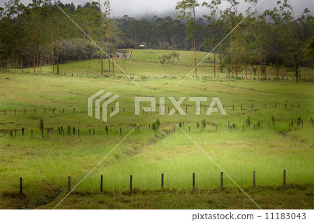 High angle view of a field, Costa Rica 11183043