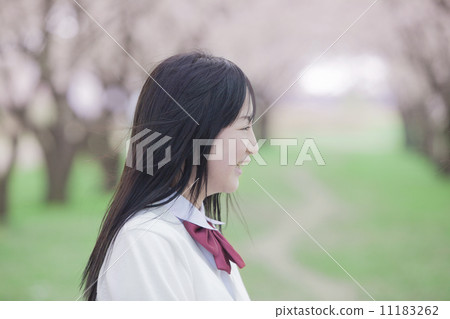 High school students standing in the background of cherry blossoms High school students standing in the background of cherry blossoms 11183262