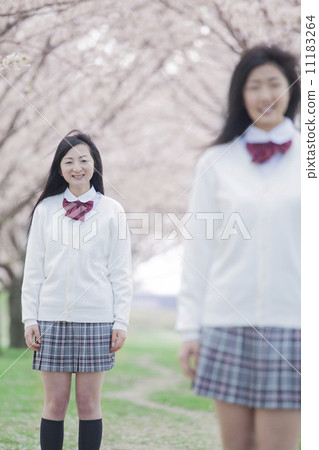 High school students standing in the background of cherry blossoms High school students standing in the background of cherry blossoms 11183264