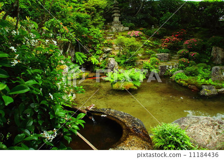 光化門花園 11184436