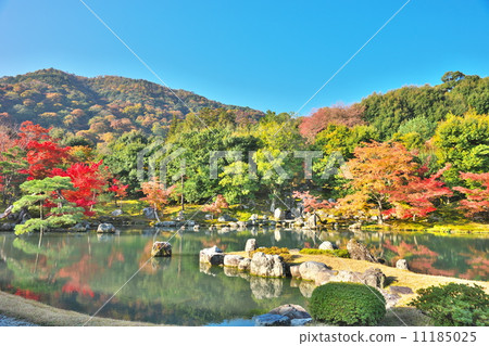 Tenryu-ji Temple of Kinu 11185025