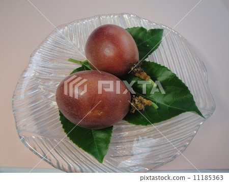 passion fruit  11185363