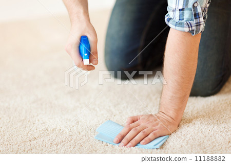 close up of male cleaning stain on carpet close up of male cleaning stain on carpet 11188882
