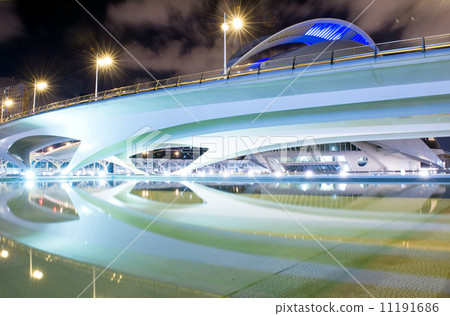 The City of arts and sciences at night, Valencia, Spain 11191686
