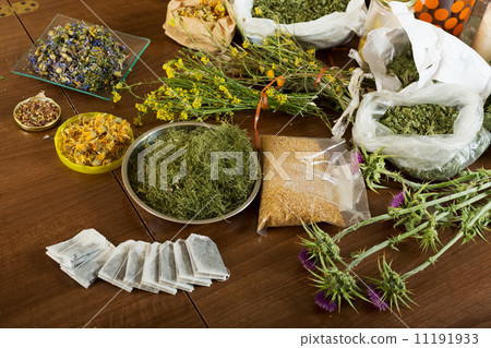 herbs at table 11191933