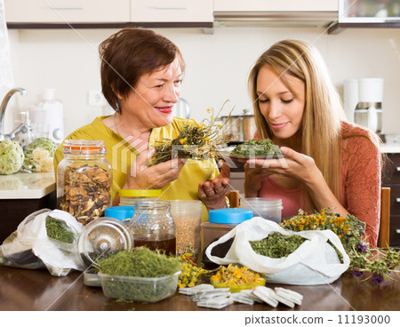 Womans with medicinal herbs 11193000