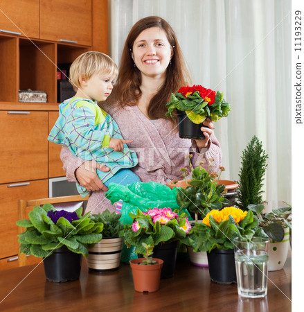 Woman transplanting potted flowers at table 11193229
